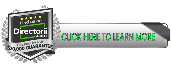 Free Window Replacement Estimate